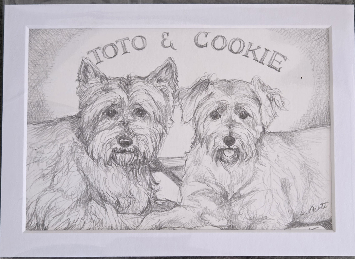 Pet Portrait Drawing