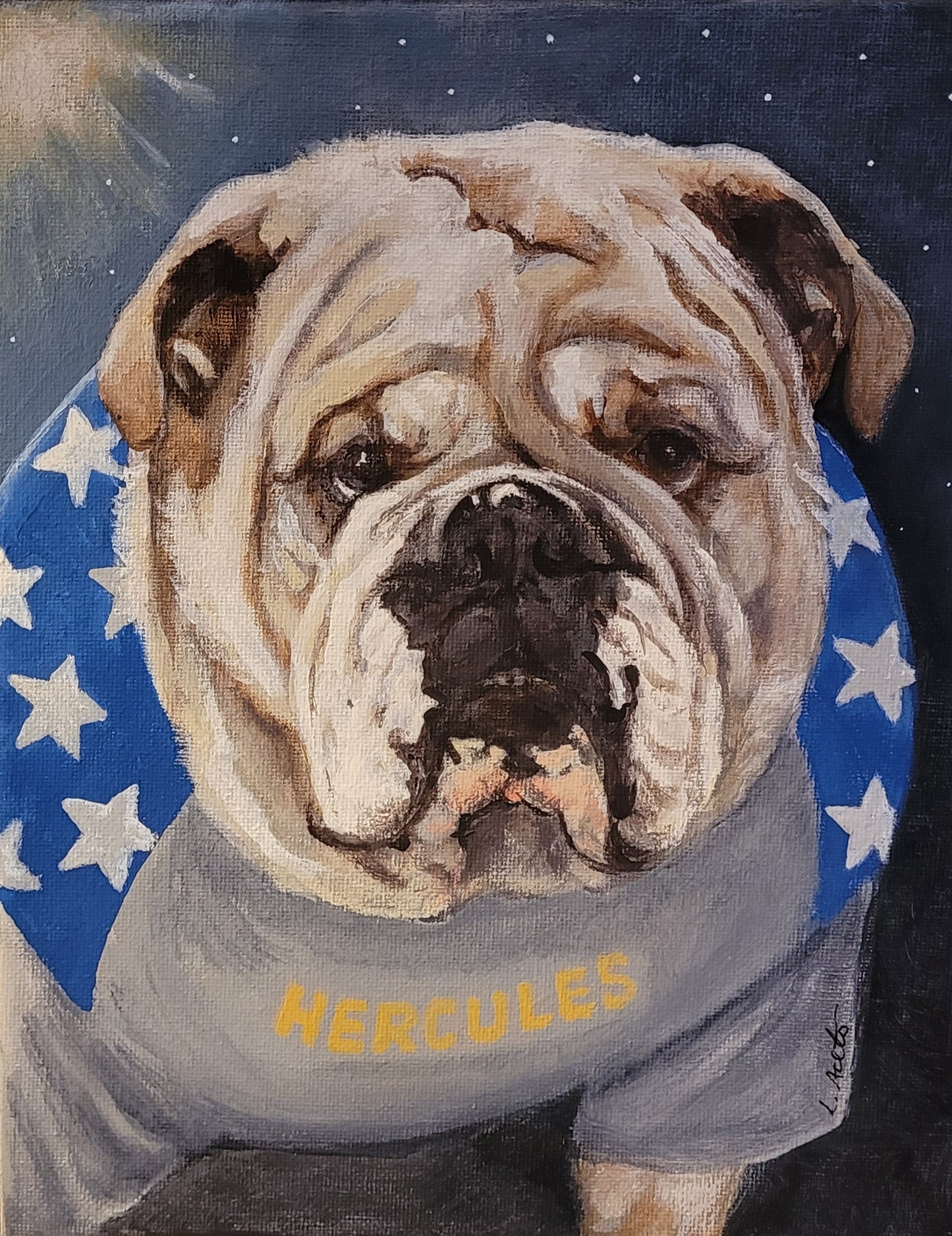 Fanciful Pet Portrait, hand painted acrylic