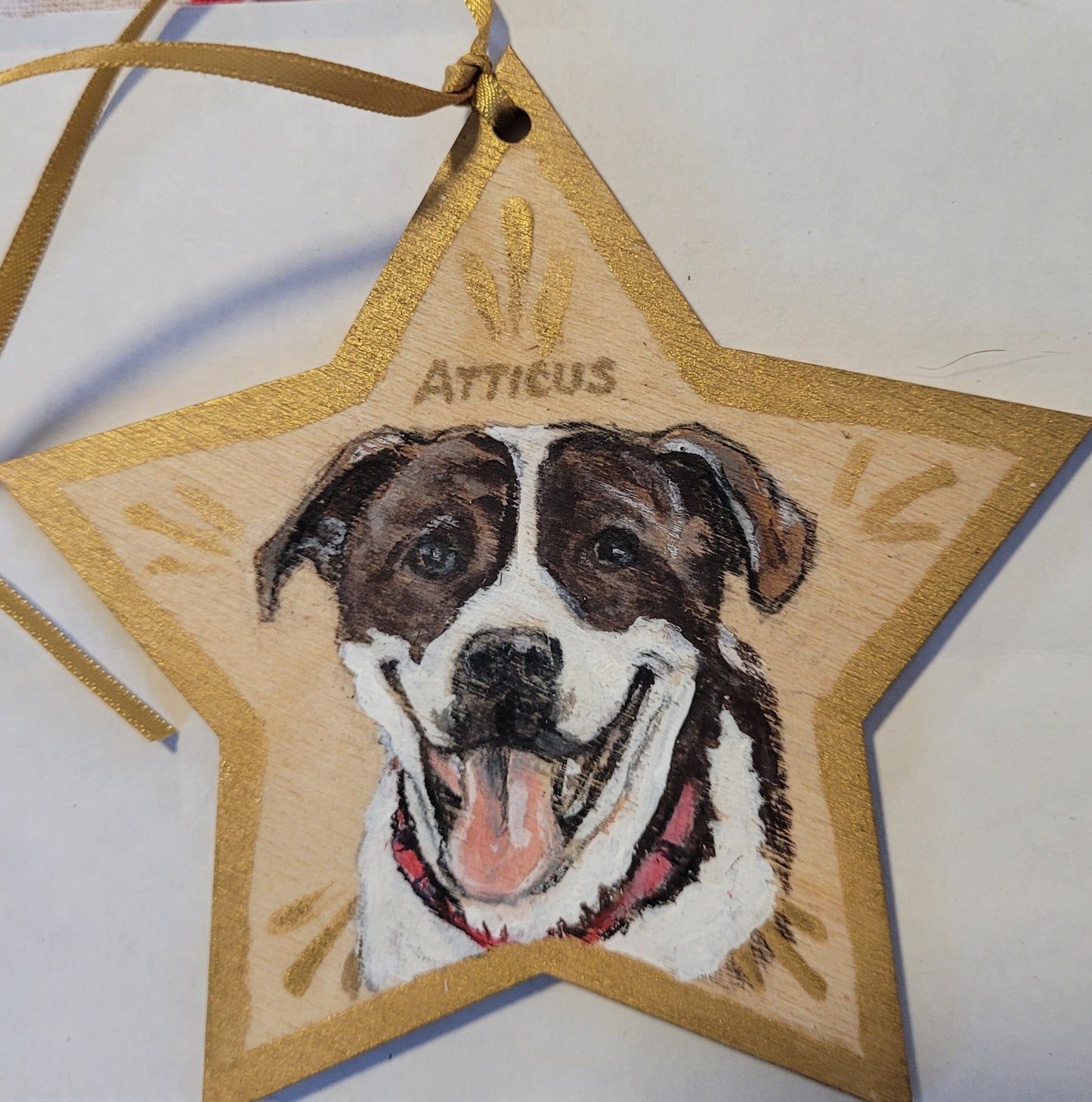 Ornament Pet Portrait Star