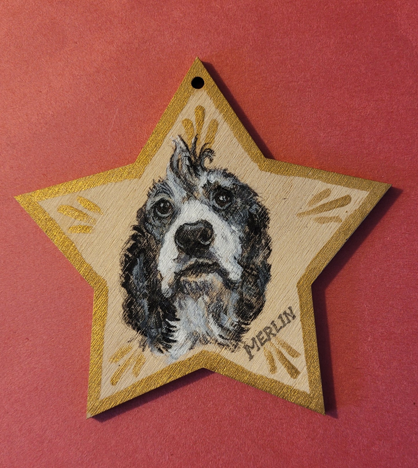 Star Ornament Pet Portrait