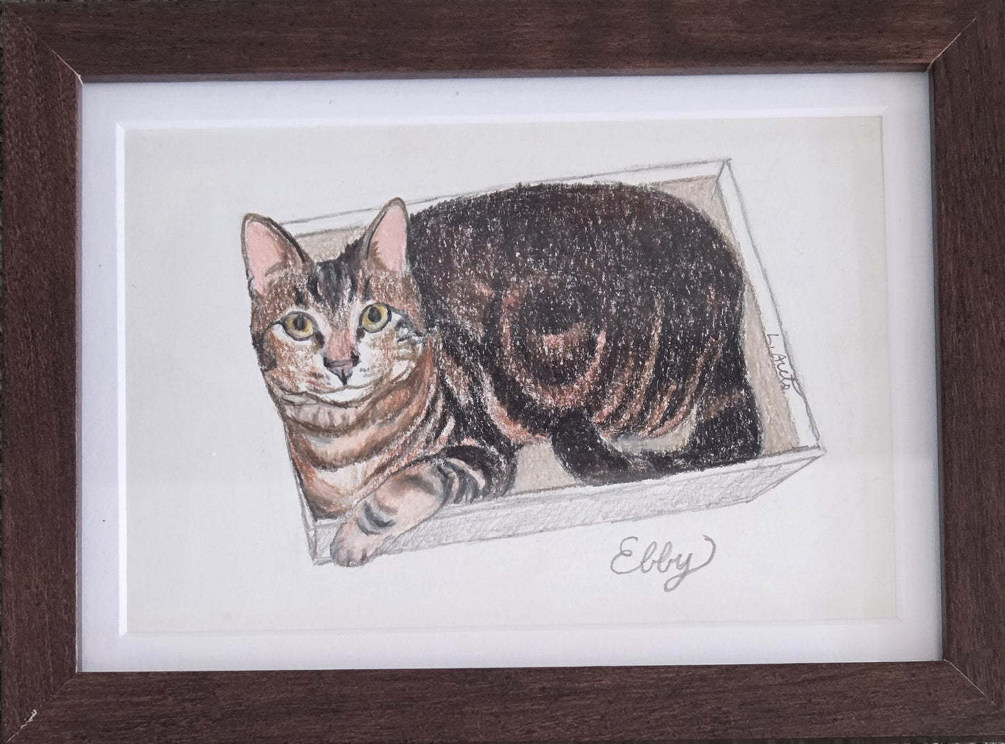 Pet Portrait Drawing