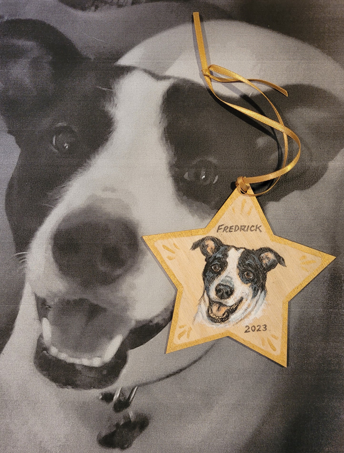 Ornament Pet Portrait Star