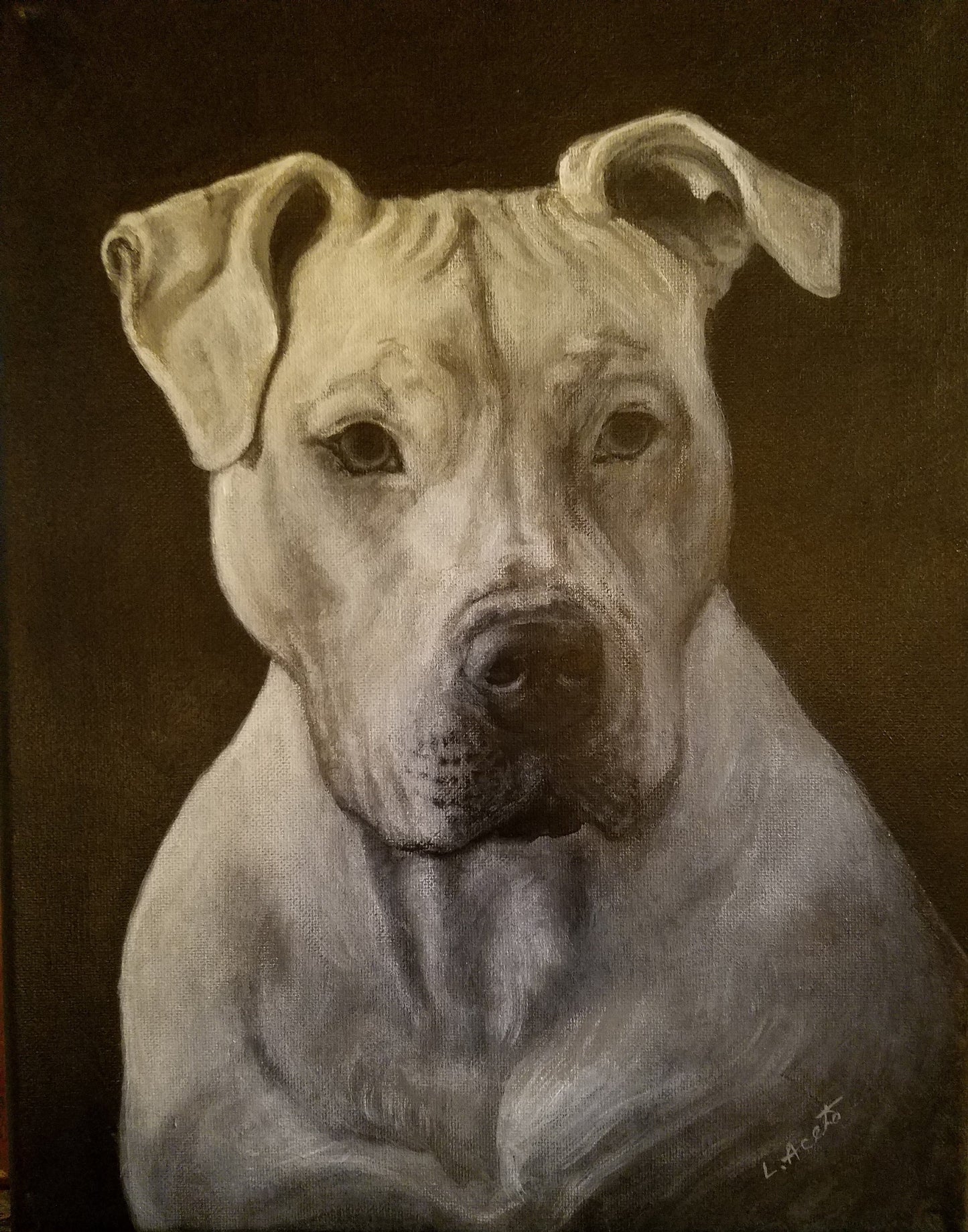 Pet Portrait Painting