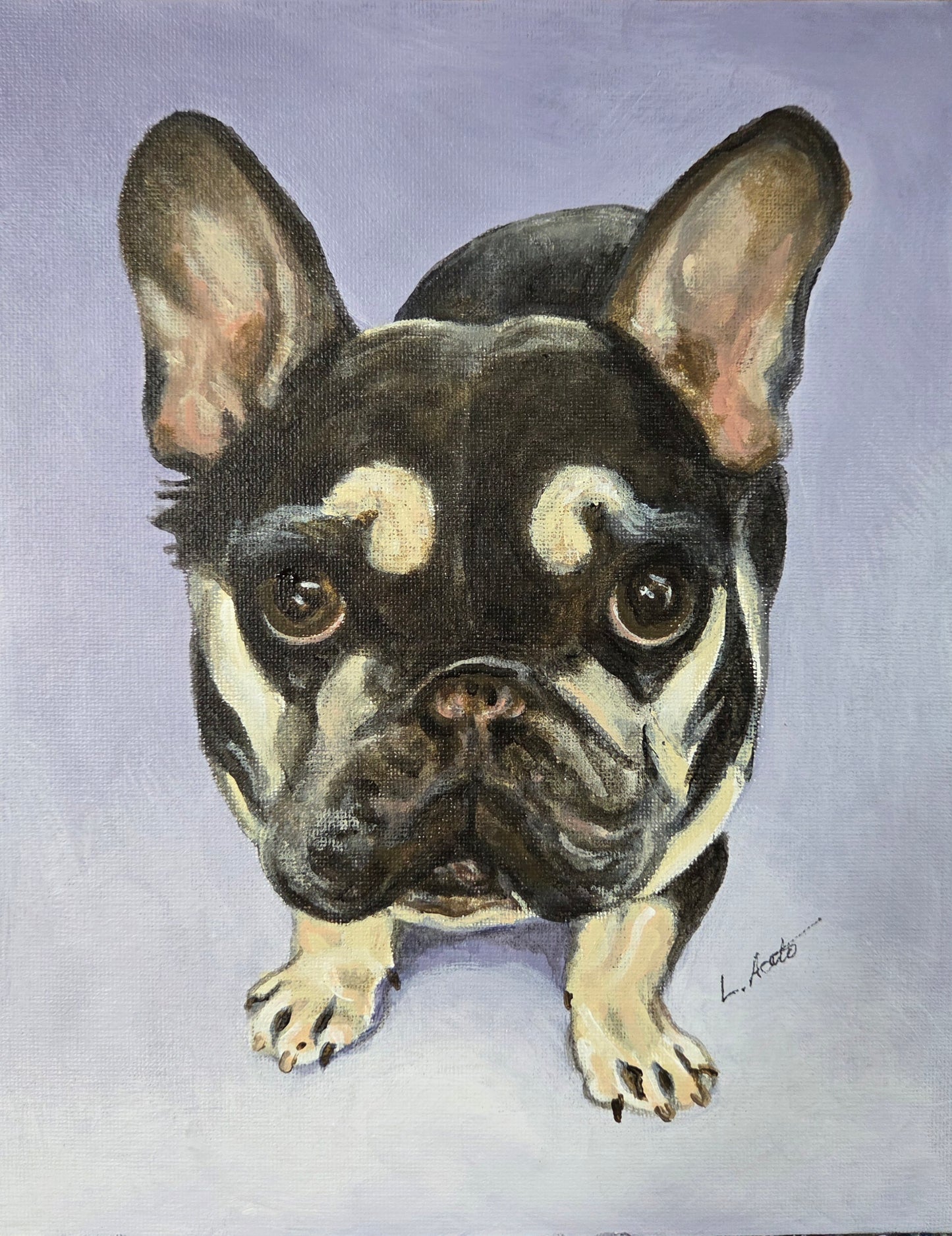 Pet Portrait Painting