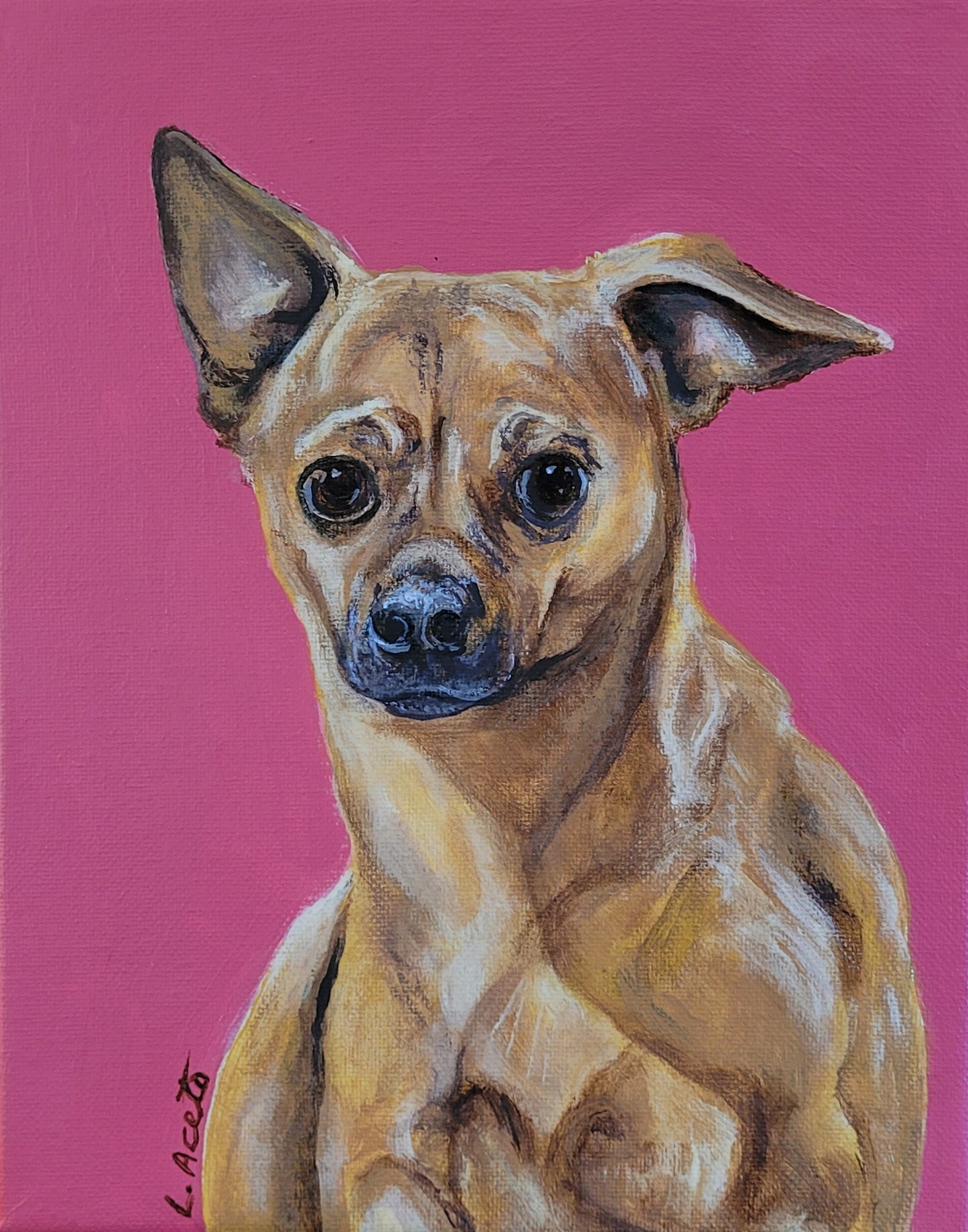 Pet Portrait Painting