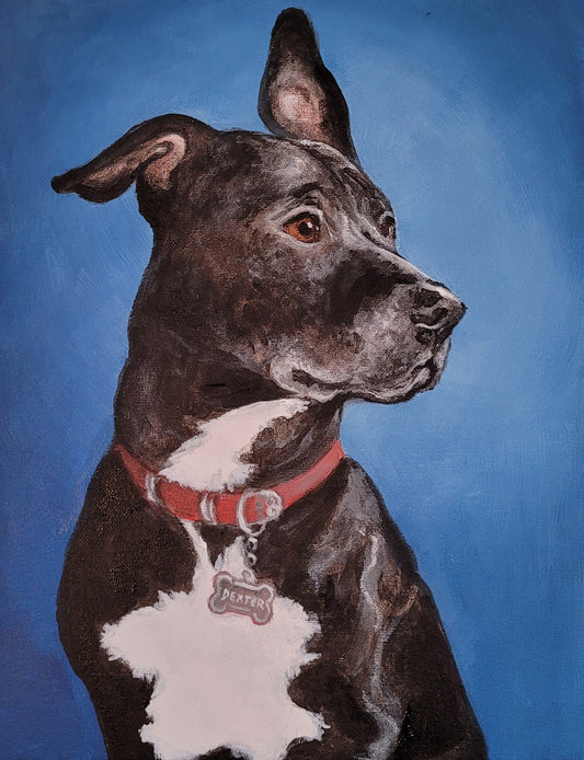 Pet Portrait Painting