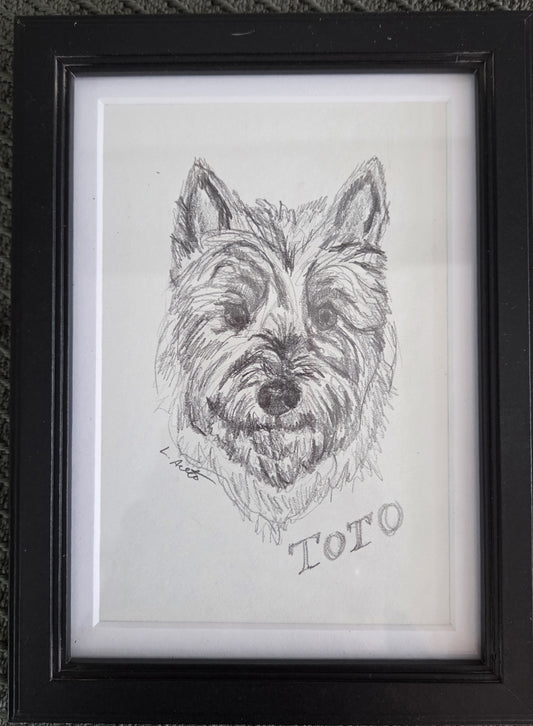 Pet Portrait Pencil Drawing