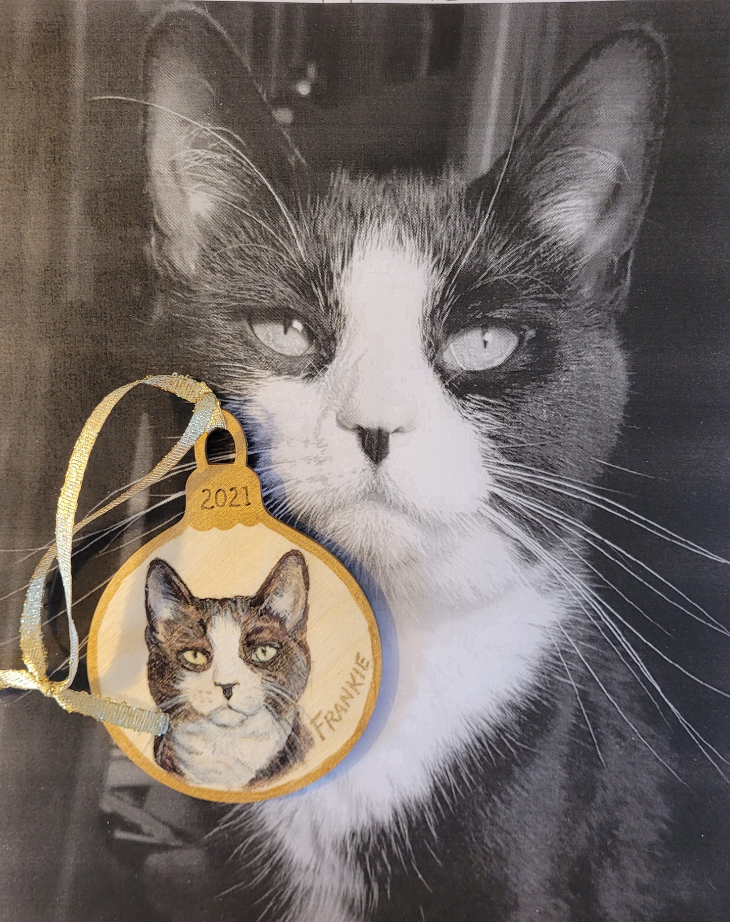 Ornament Pet Portrait