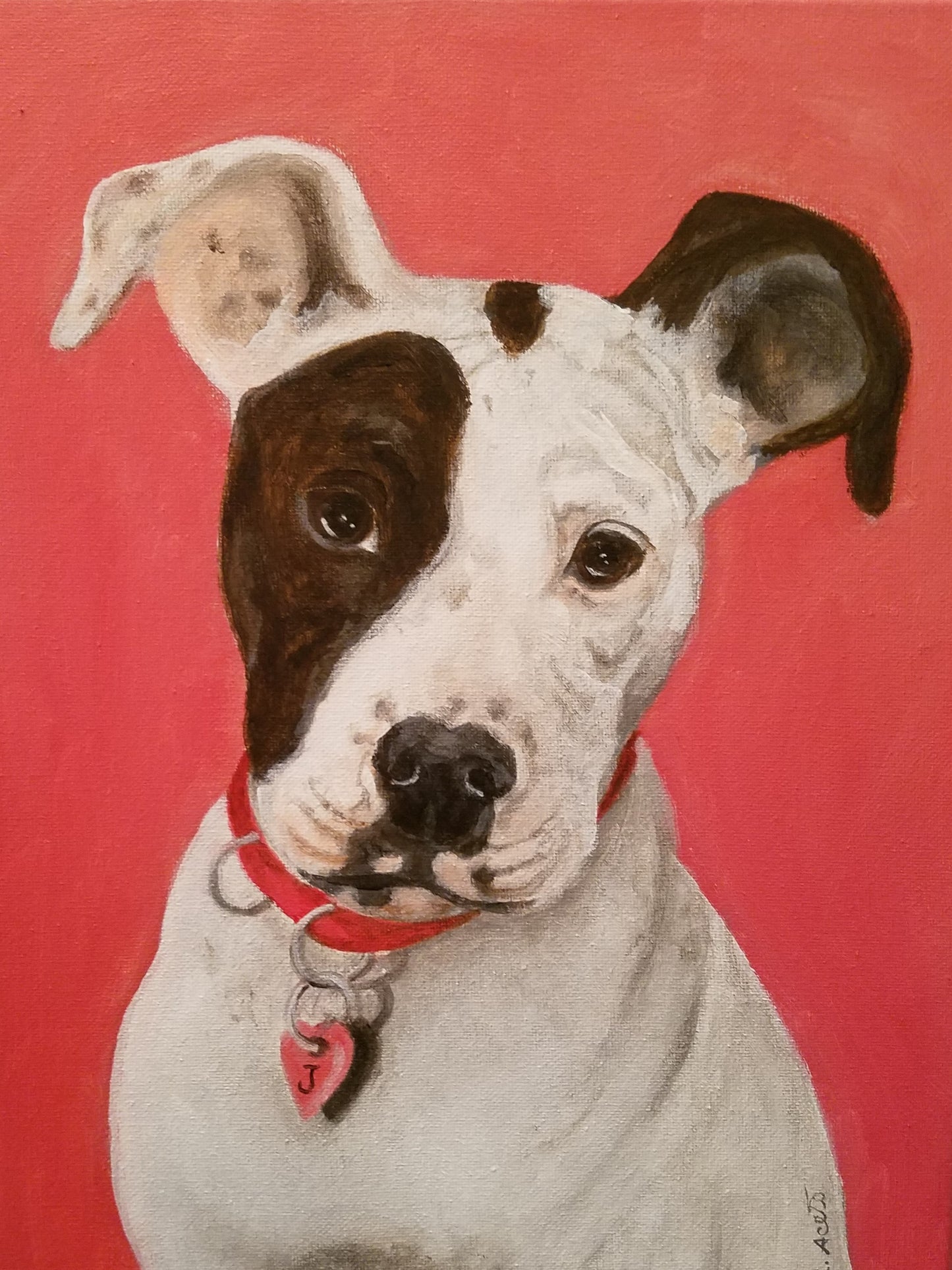 Pet Portrait Painting