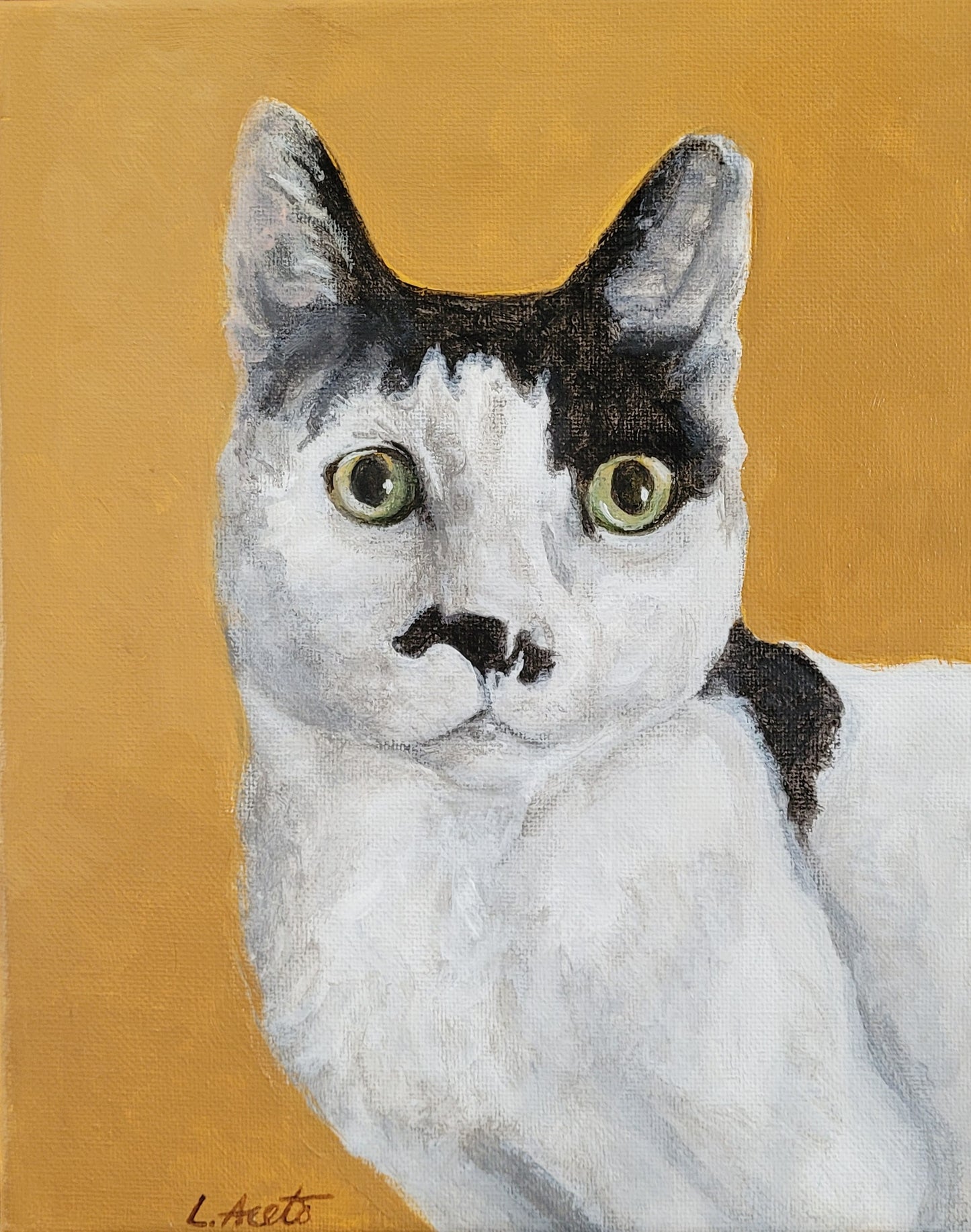 Pet Portrait Painting