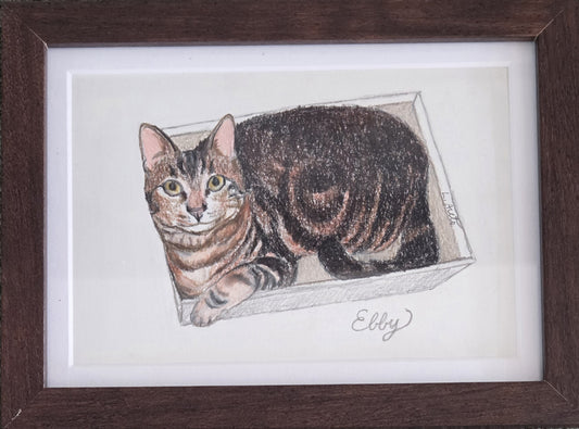 Pet Portrait Drawing