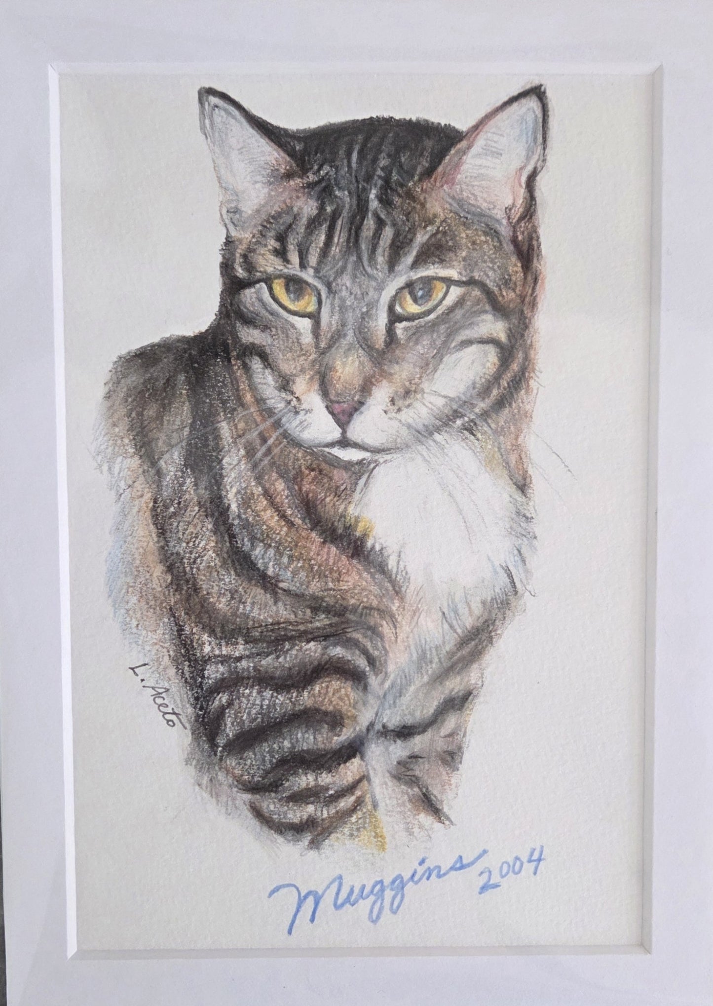Pet Portrait Drawing