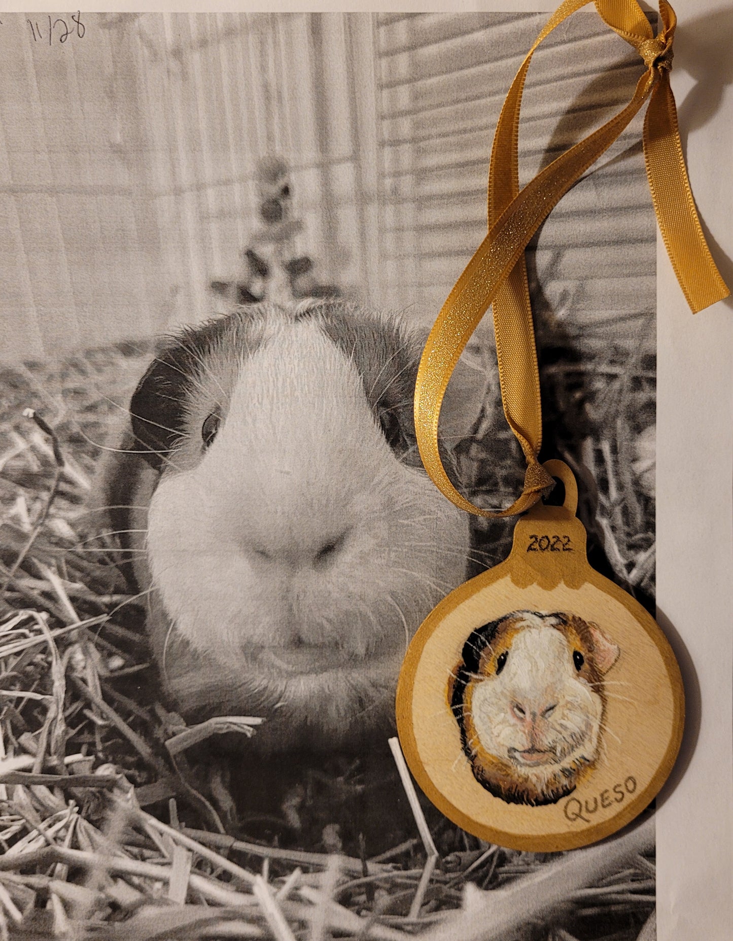 Ornament Pet Portrait