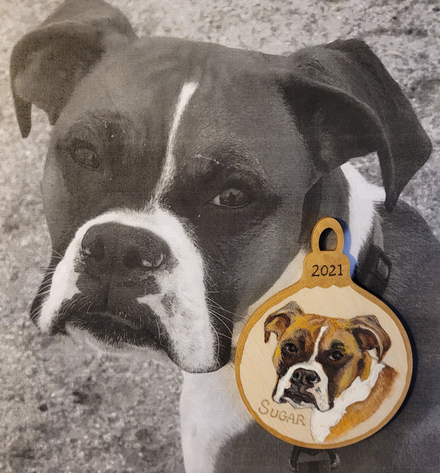 Ornament Pet Portrait